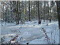 NY9463 : Frozen pond in Gallowsbank Wood by Oliver Dixon