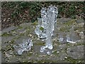 SO7637 : Nature's ice sculpture by Philip Halling