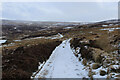 Moorland Track above Pickles Gill Beck