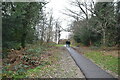 TQ5739 : Tunbridge Wells Common by N Chadwick