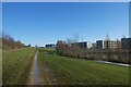 Path on Heslington East