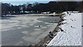 NZ2465 : Frozen Pond, Leazes Park, Newcastle by Les Hull