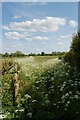 Footpath going towards Sansons Farm