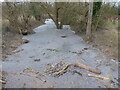 Frozen watercourse in Sutton, Shrewsbury