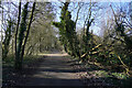 On the footpath to Mackworth