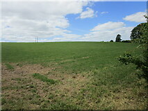 W4872 : Grass field at Droghideencloghduff by Jonathan Thacker