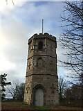 NJ1662 : York Tower from the West by thejackrustles