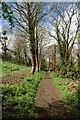 Bridleway in Cleveley