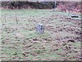 Old Boundary Marker east of the lane from Minions to Higher Stanbear