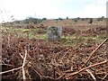 Old Boundary Marker on Stowes Hill