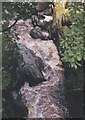 Cyfyng Falls below Pont Cyfyng bridge