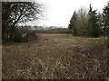 Field on the northern side of Shifnal