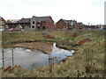 Drainage pool and new housing