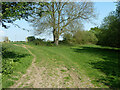 Farm track, Watersfield