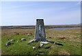 NB5247 : Triangulation pillar, North Tolsta/Tolstadh bho Thuath, Isle of Lewis by Claire Pegrum