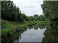 Stourbridge Canal south-west of Brierley Hill, Dudley