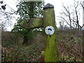 Waymarker disc on a fingerpost on part of the Chris Bagley Walk near Longden, Shropshire