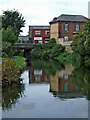 Stourbridge Canal at Bowen