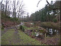 Lingcroft Pool near Longden Manor