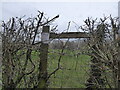 Notice in the hedgeline near Longden