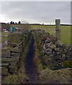 Path from Marsh Delves Lane to Long Lane, Halifax