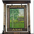 TM3355 : Campsea Ashe village sign by Adrian S Pye