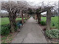 View of pergolas in Clayhall Park