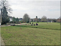 TQ2938 : Worth Park, Pound Hill, Crawley by Robin Webster