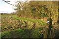 Footpath by the Grove to Ivy Farm