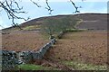 NT4329 : Walls on Foulshiels Hill by Jim Barton