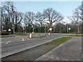 Traffic lights, Somerley Drive - Steers Lane junction