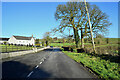 H4851 : Shantonagh Road, Tullyquin Glebe by Kenneth  Allen