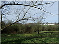 View across The Slade at Plumstead Common