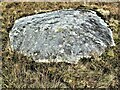 NS2267 : Martin Glen Cup Marked Rock by Raibeart MacAoidh