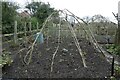 Allotment plot