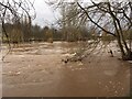 River Teviot in flood at Ormiston