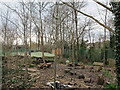 School environmental garden, Hanger Vale, Ealing