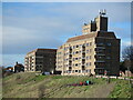 Knotts Flats, Tynemouth