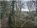 Footpath near the Chiltern Way