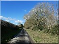 Minor road to Fishleigh