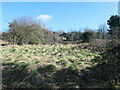 Southern edge, Balne Lane Fields