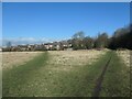 Paths at the northern end of Balne Lane Fields