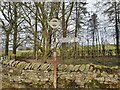 Direction Sign ? Signpost on Moor Lane Elslack