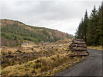 NM9615 : Forestry road in Inverinan Forest by Patrick Mackie