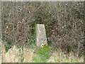 The Cock Road trig