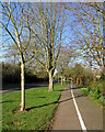 TL4357 : Barton Road cycle path by John Sutton