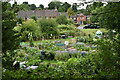 Allotments