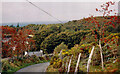 Hill above Lakeside Cottage, Bryn Bras