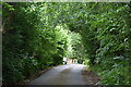 Track to Fairhazel Farm