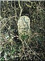 Old milestone